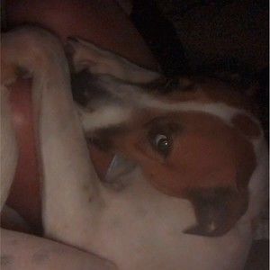 Meet your Posher, Kat